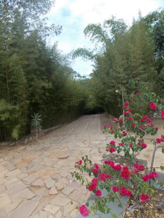 Pousada Bosque Do Lapao Lencois Dış mekan fotoğraf